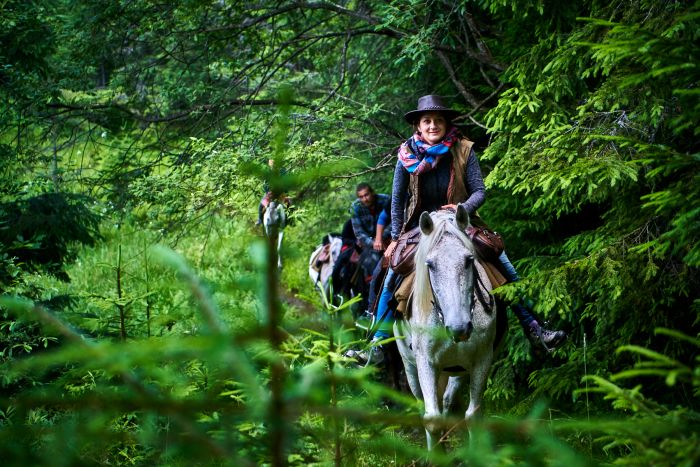 Sur les traces des ours