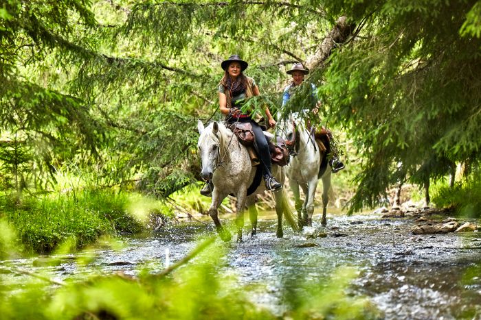 Sur les traces des ours