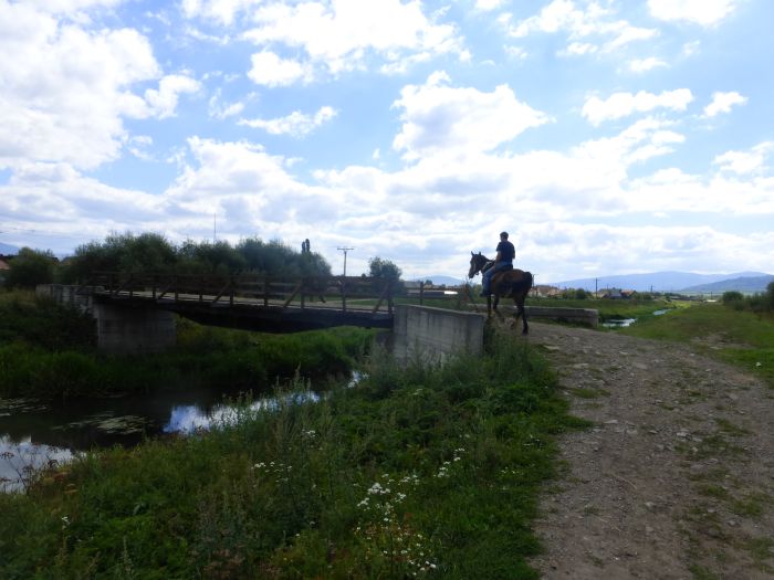 Sur les traces des ours