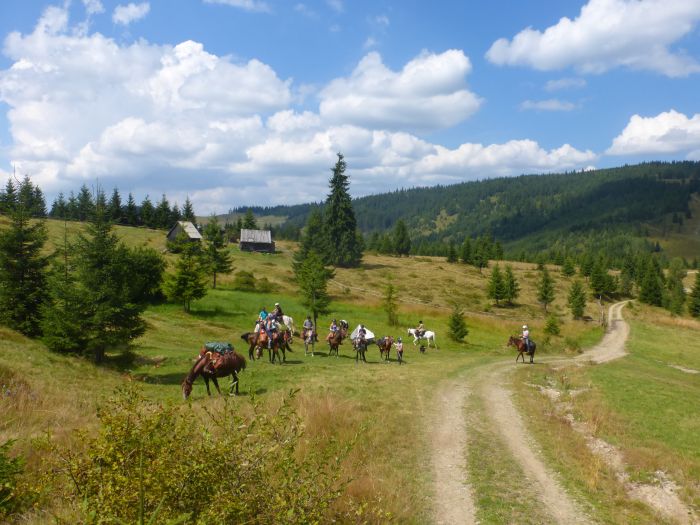 Sur les traces des ours