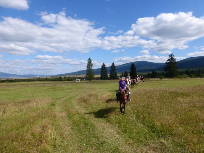 Sur les traces des ours