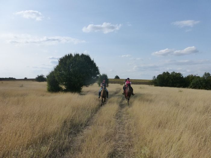 Chevauchée médiévale de Bozhentsi