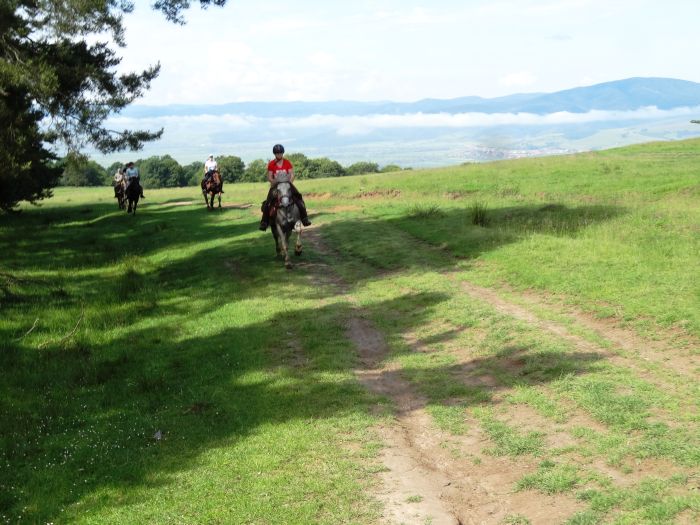 Culture et nature de Transylvanie