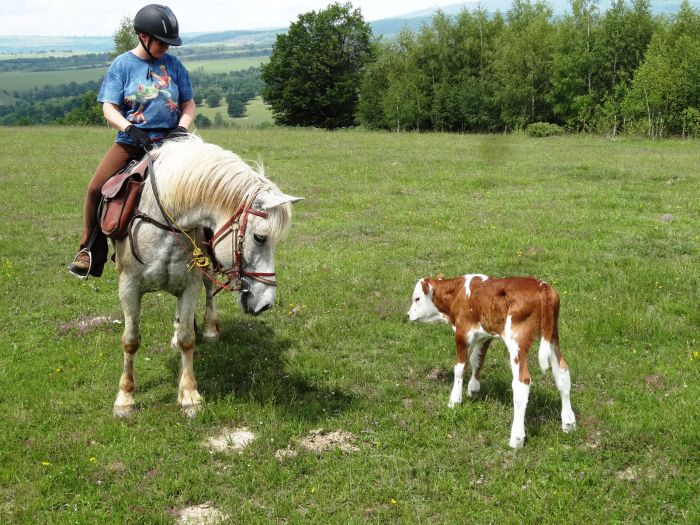 Culture et nature de Transylvanie