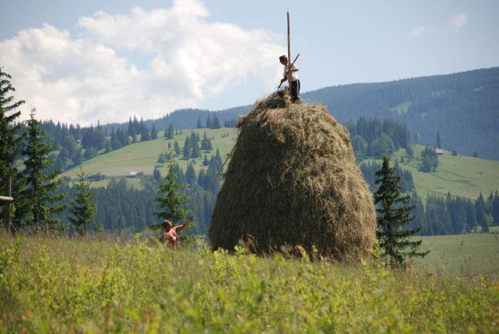 Culture et nature de Transylvanie