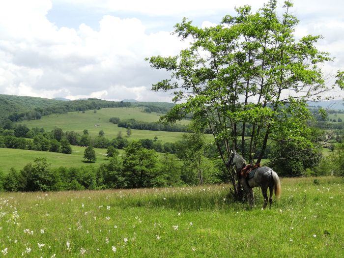 Culture et nature de Transylvanie