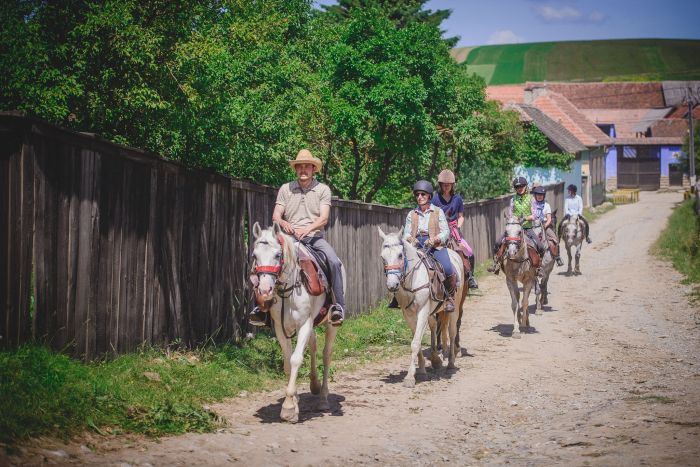 Culture et nature de Transylvanie