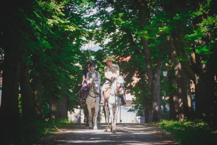 Culture et nature de Transylvanie