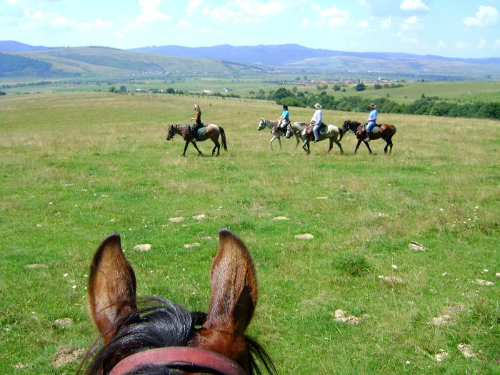 Culture et nature de Transylvanie