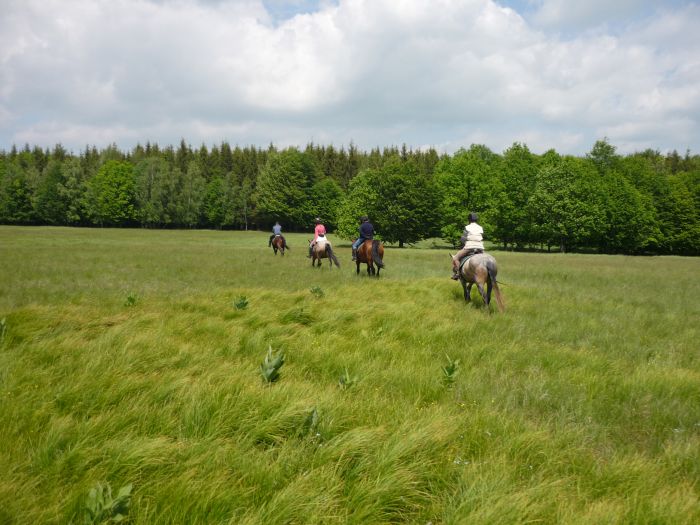 Culture et nature de Transylvanie