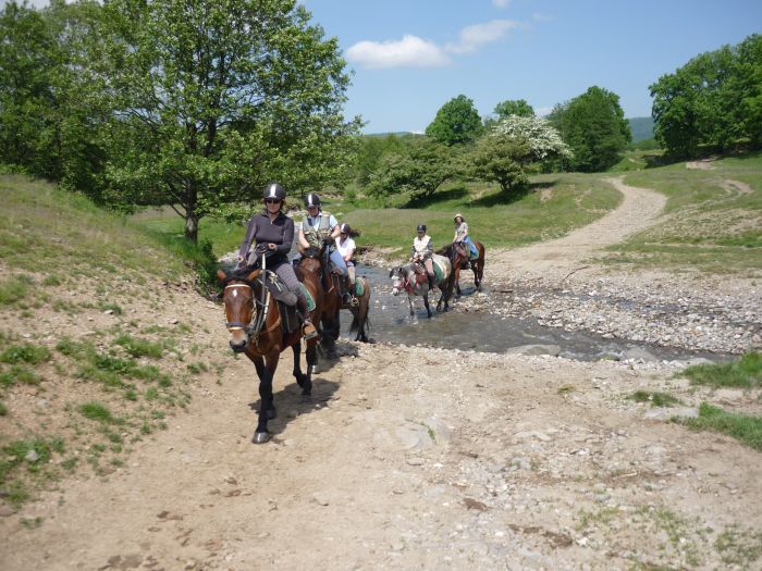 Culture et nature de Transylvanie