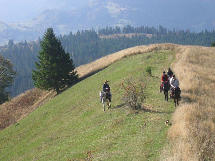 Culture et nature de Transylvanie