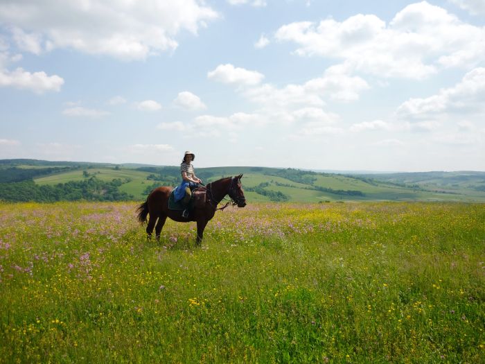 Culture et nature de Transylvanie