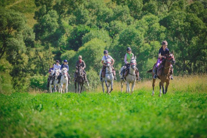 Culture et nature de Transylvanie
