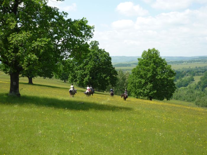 Culture et nature de Transylvanie