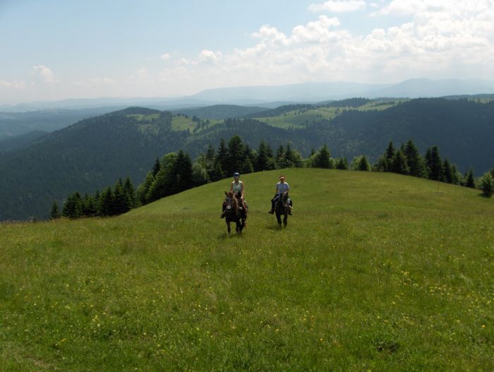 Culture et nature de Transylvanie