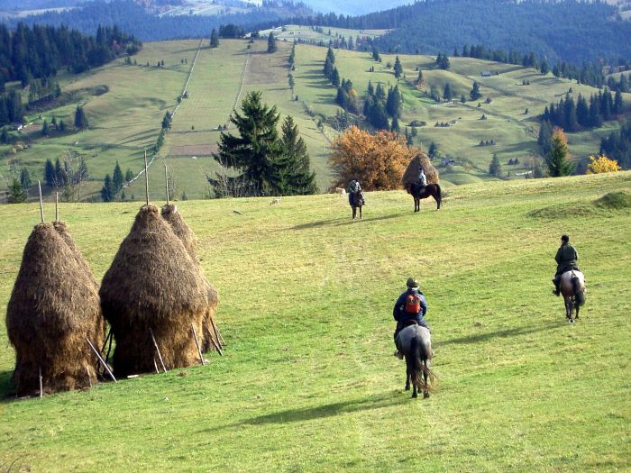Culture et nature de Transylvanie