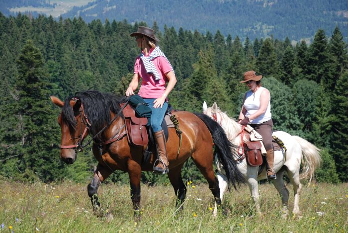 Culture et nature de Transylvanie