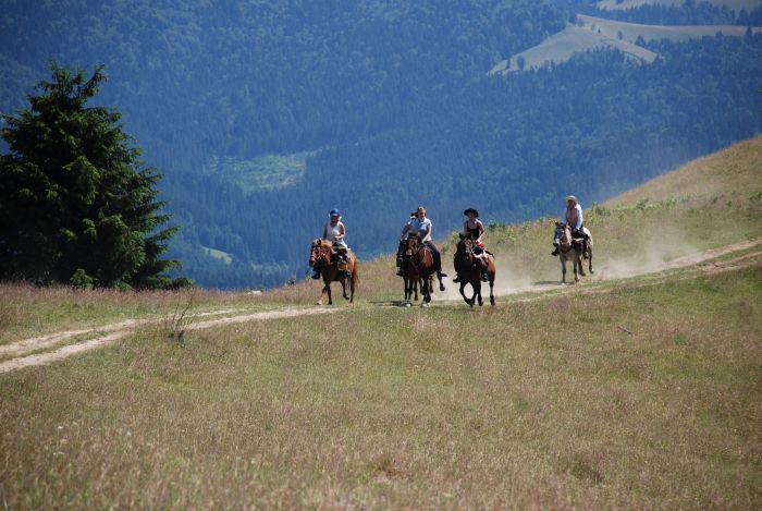 Culture et nature de Transylvanie