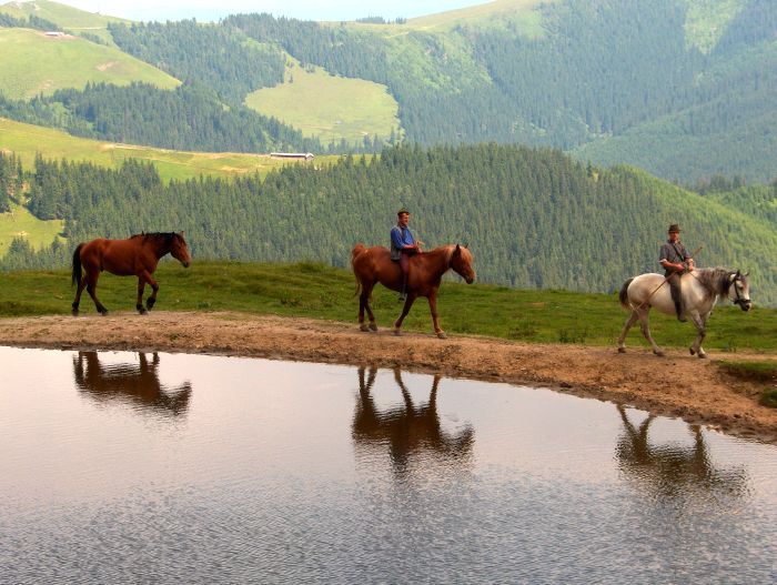 Culture et nature de Transylvanie