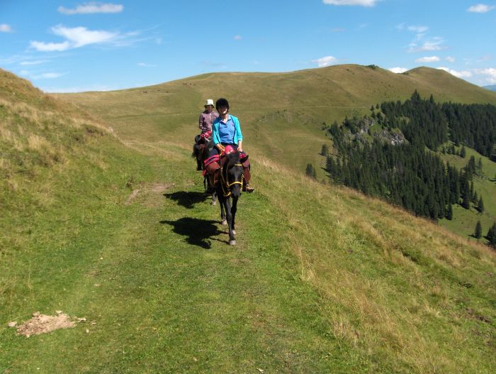 Culture et nature de Transylvanie