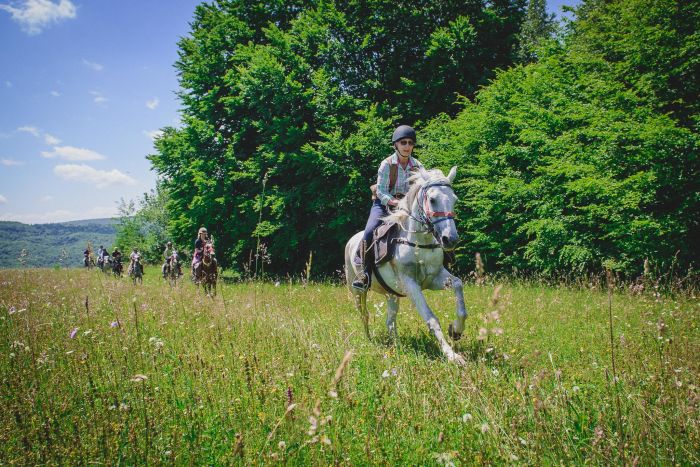 Culture et nature de Transylvanie