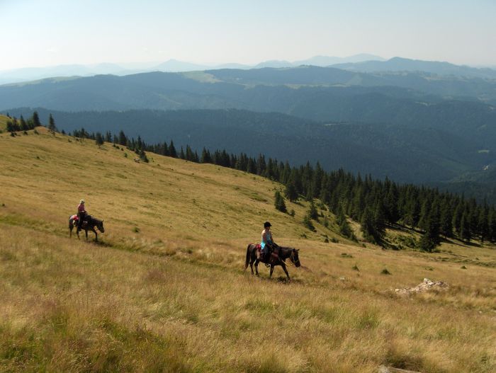 Culture et nature de Transylvanie