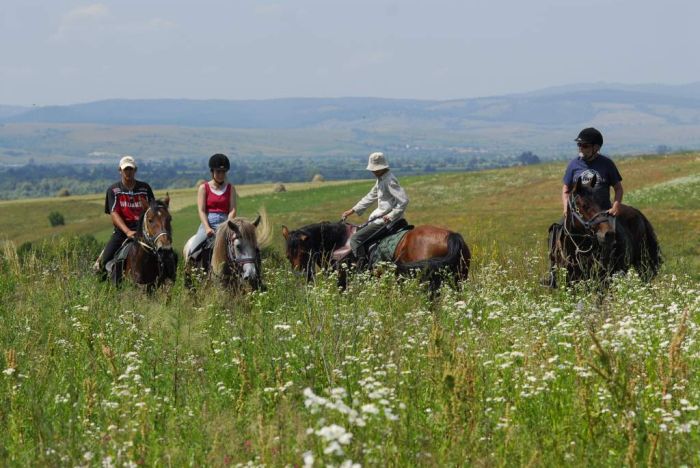 Culture et nature de Transylvanie