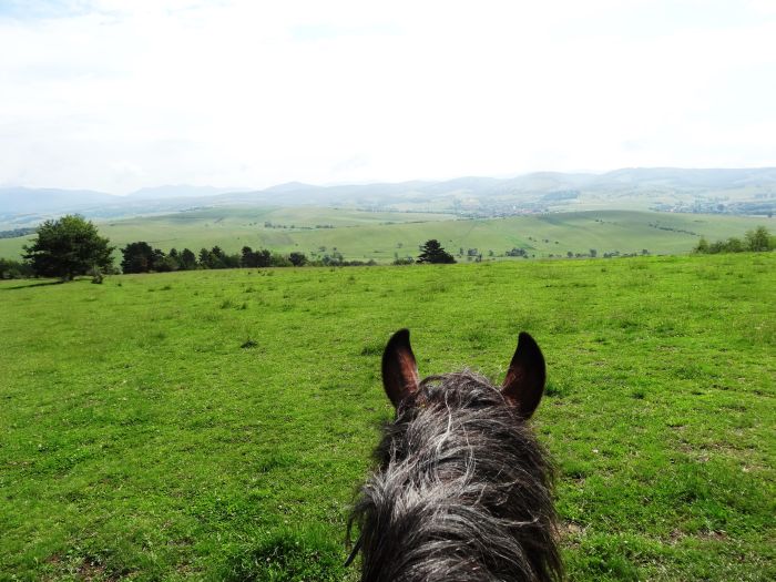 Culture et nature de Transylvanie