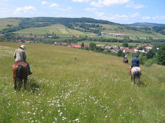 Culture et nature de Transylvanie