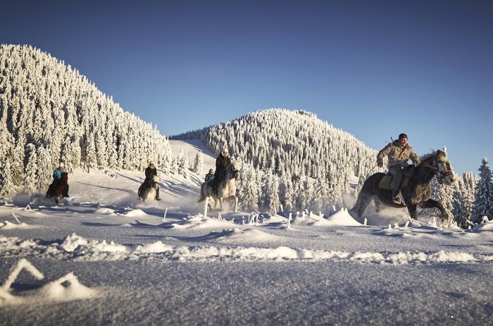 Randonnée dans le parc national de Hasmas