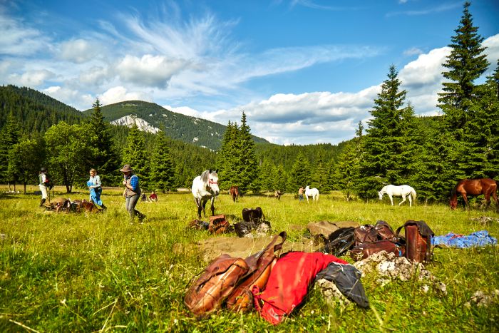 Randonnée dans le parc national de Hasmas