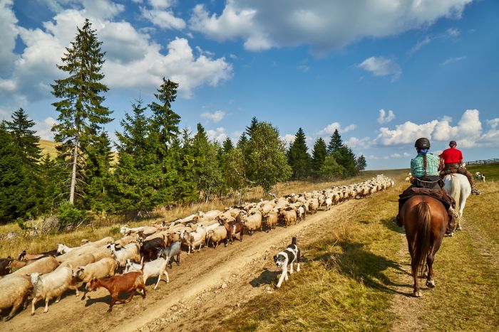 Randonnée dans le parc national de Hasmas