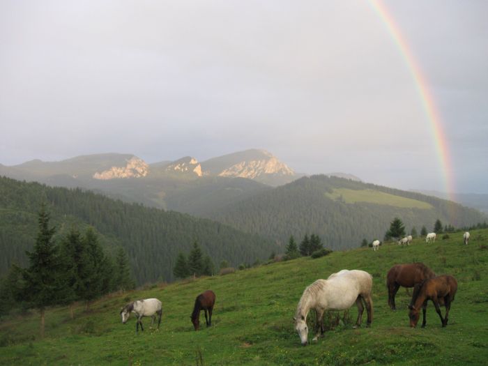 Randonnée dans le parc national de Hasmas