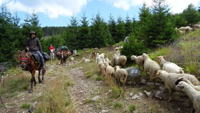 Randonn&eacute;e d'aventure des Carpates