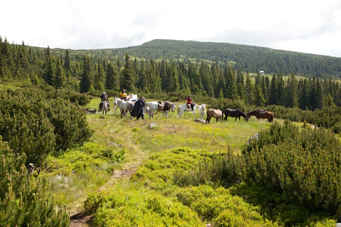 Randonn&eacute;e d'aventure des Carpates