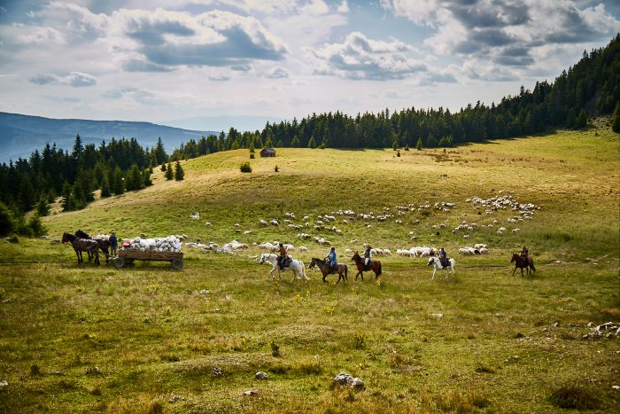 Randonn&eacute;e d'aventure des Carpates