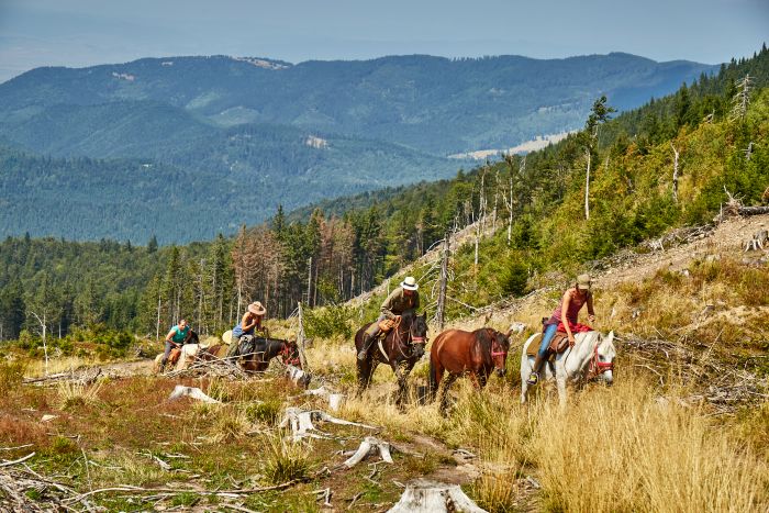 Randonn&eacute;e d'aventure des Carpates