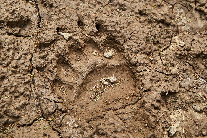 Randonn&eacute;e d'aventure des Carpates