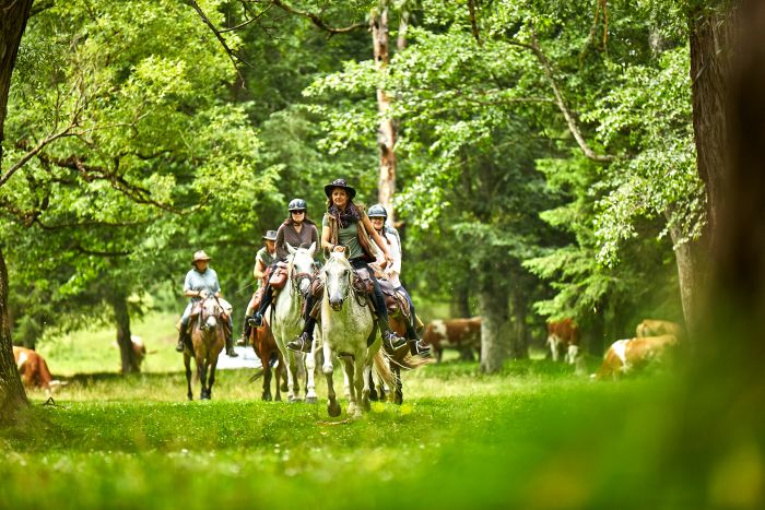 Randonn&eacute;e d'aventure des Carpates