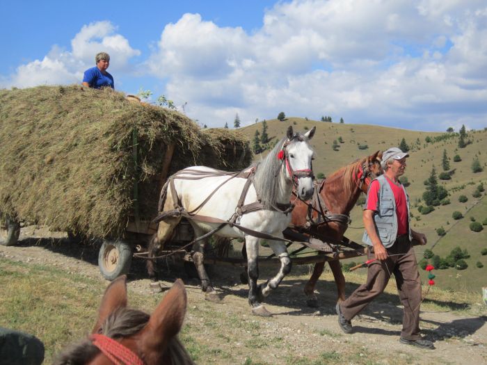 Randonn&eacute;e d'aventure des Carpates