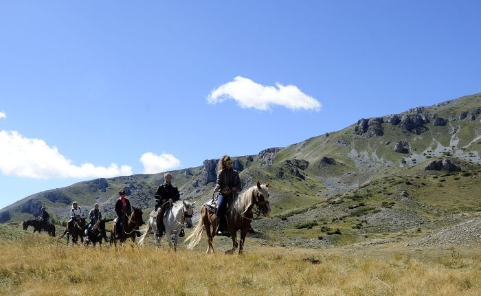 Sur les traces du Miyak