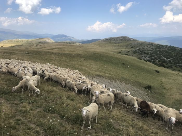 Sur les traces du Miyak