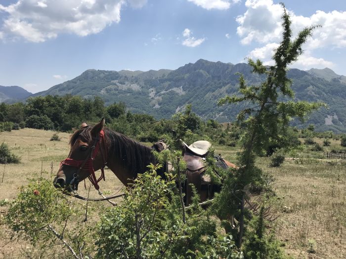 Sur les traces du Miyak