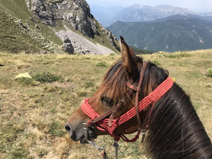 Sur les traces du Miyak