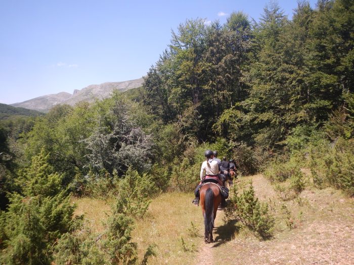 Sur les traces du Miyak