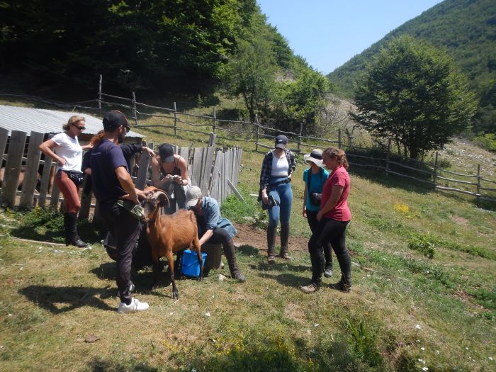 Sur les traces du Miyak