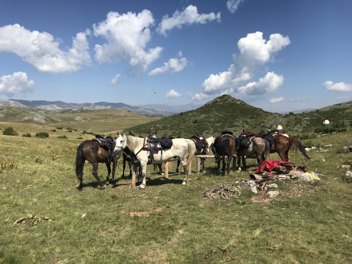 Sur les traces du Miyak