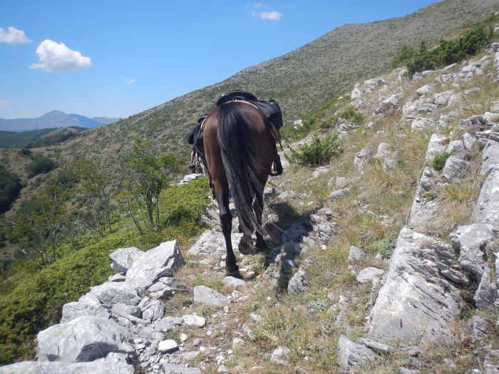 Sur les traces du Miyak
