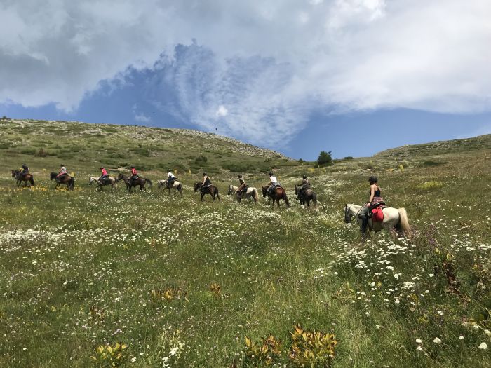 Sur les traces du Miyak